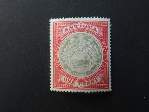 1903 antigua grey rose - antigua, &