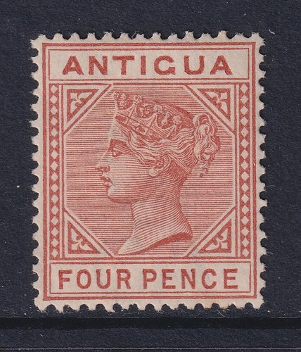 Antigua 1884 variety - antigua,