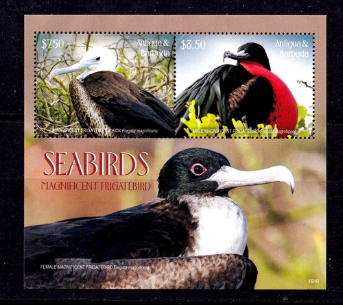 Antigua barbuda over sea birds - barbuda,