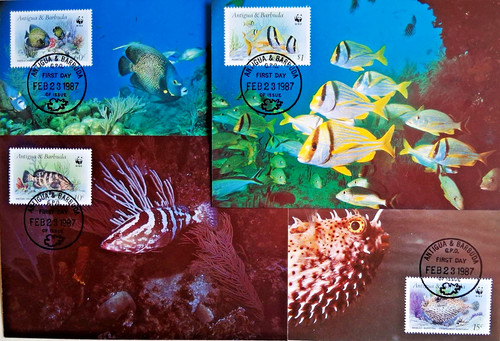 Fish compl lot - -, compl.