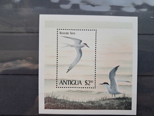 Stamps antigua birds - stamps, $2
